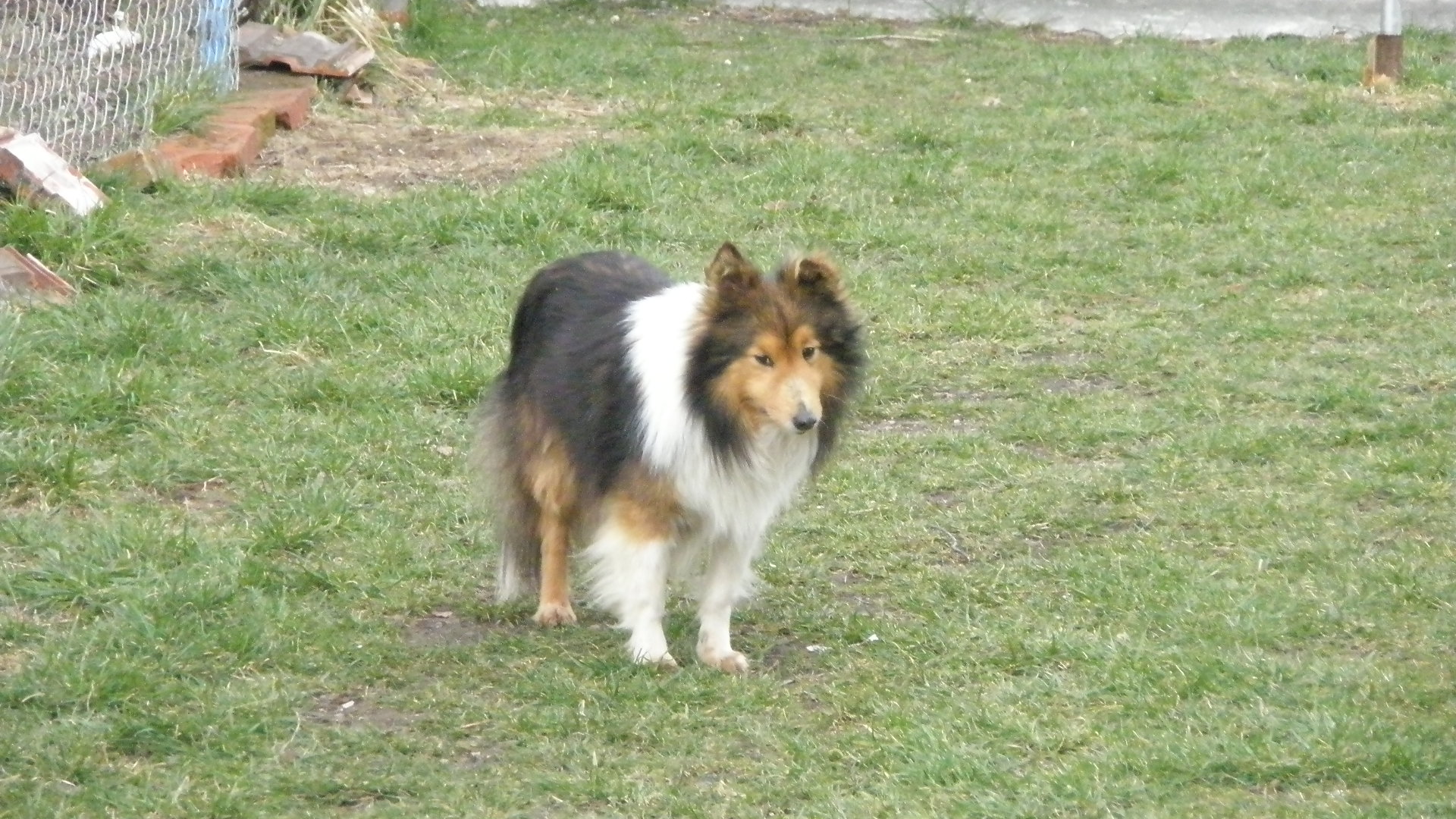 HESSY-RE-JAN MORAVIA ,DONY 092.JPG