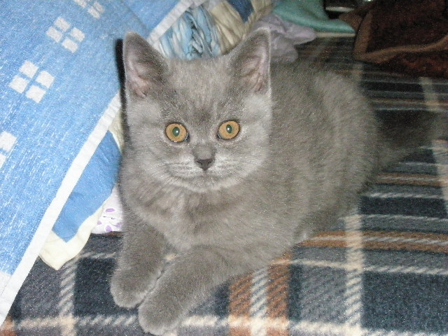 Waity,Mindí,Zuzana -příchod 037.JPG