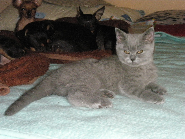 WAITY-bolavé očičko 038.JPG