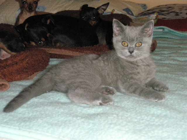 WAITY-bolavé očičko 036.JPG